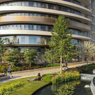 54986image