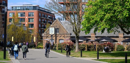65555image.jpeg