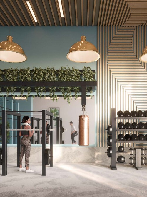 silkstream-facilities-gym.jpeg